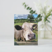 LANDBOUWDIEREN, KOE VAN KUSTSTSTOFFEN BRIEFKAART (Staand voorkant)