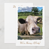 LANDBOUWDIEREN, KOE VAN KUSTSTSTOFFEN KAART (Voorkant / Achterkant)