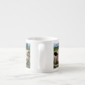 LANDBOUWDIEREN, KUSTGEBIED, KOE ESPRESSO KOP (Achterkant)