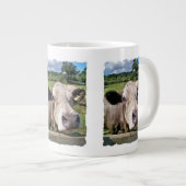 LANDBOUWDIEREN, KUSTGEBIED, KOE GROTE KOFFIEKOP (Voorkant rechts)