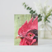 LANDBOUWDIEREN, ROOSTER BRIEFKAART (Staand voorkant)