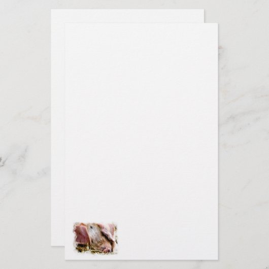 LANDBOUWDIEREN, VARKENS BRIEFPAPIER (Voorkant / Achterkant)