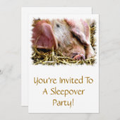 LANDBOUWDIEREN, VARKENS KAART (Voorkant / Achterkant)