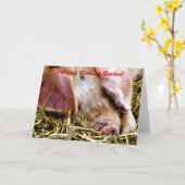 LANDBOUWDIEREN, VARKENS KAART (Gele Bloem)