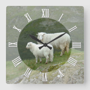 Landbouwers Clock, Scottish Sheep, Mountains, Scho Vierkante Klok