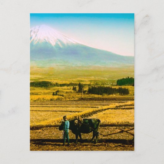 Landbouwers Oxen Pwaring Field in Shadow of Mt. Fu Briefkaart (Voorkant)