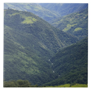 Landbouwgrond en Himalaya-bos in de Mangdue-vallei Tegeltje