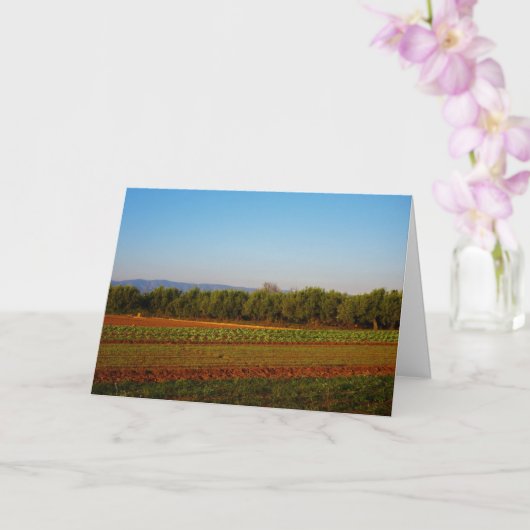 Landbouwgrond in Valencia, Spanje Kaart (Orchidee)