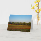 Landbouwgrond in Valencia, Spanje Kaart (Gele Bloem)