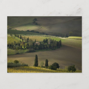 Landbouwgrond rond Montepulciano, Toscane, Italië Briefkaart