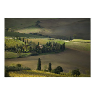 Landbouwgrond rond Montepulciano, Toscane, Italië Foto Afdruk