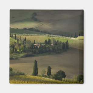 Landbouwgrond rond Montepulciano, Toscane, Italië Magneet