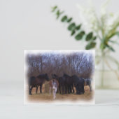 landbouwhuisdieren briefkaart (Staand voorkant)