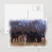 landbouwhuisdieren briefkaart (Voorkant / Achterkant)