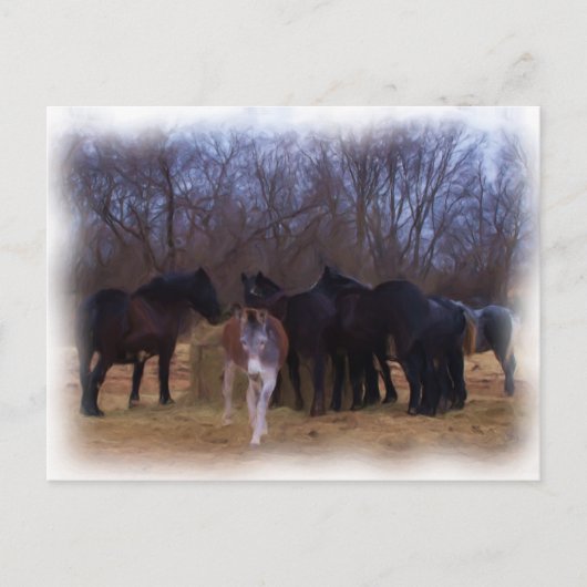 landbouwhuisdieren briefkaart (Voorkant)