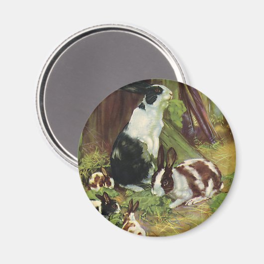 landbouwhuisdieren, gezelschapskonijnen die door magneet (Voorkant / Achterkant)