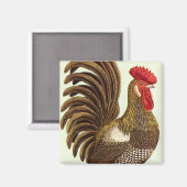 landbouwhuisdieren Kippen, wortelstok Magneet (Voorkant / Achterkant)