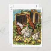  landbouwhuisdieren, rooster, kippen briefkaart (Voorkant / Achterkant)