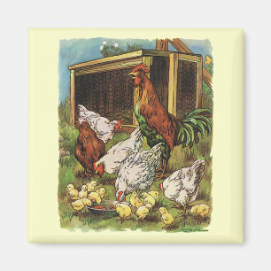 landbouwhuisdieren, rooster, kippen magneet