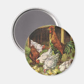  landbouwhuisdieren, rooster, kippen magneet (Voorkant / Achterkant)