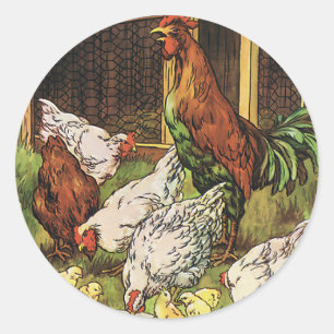  landbouwhuisdieren, rooster, kippen ronde sticker