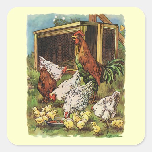  landbouwhuisdieren, rooster, kippen vierkante sticker (Voorkant)