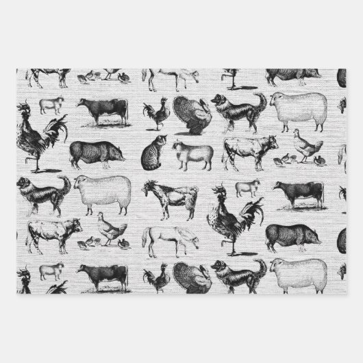  landbouwhuisdieren Rustische kuilen Inpakpapier Vel (Voorkant 3)