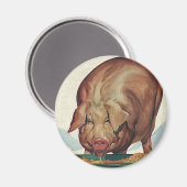  landbouwhuisdieren, varken dat tijdens de dalperi magneet (Voorkant / Achterkant)