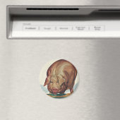  landbouwhuisdieren, varken dat tijdens de dalperi magneet (Insitu (Vaatwasser))