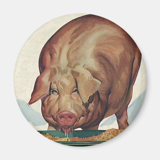  landbouwhuisdieren, varken dat tijdens de dalperi magneet (Voorkant)