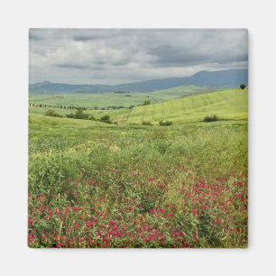 Landbouwveld, regio Toscane in Italië. Magneet