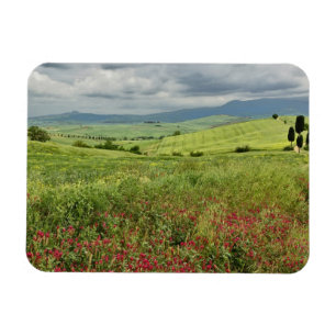 Landbouwveld, regio Toscane in Italië. Magneet