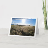 Landelijk Gras Zonsopgang Landschap Kaart (Voorkant)