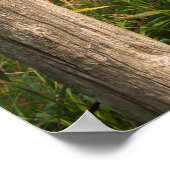 Landelijk hekwerk en hooibalen poster (Hoek)