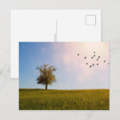 Landelijk idylle briefkaart (Voorkant / Achterkant)