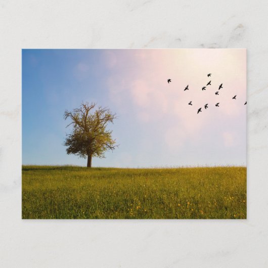 Landelijk idylle briefkaart (Voorkant)