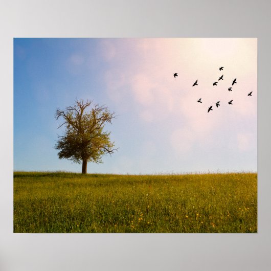 Landelijk idylle met vogels poster (Voorkant)