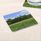 Landelijk landschap van een maïs- & tarweveld & bl kartonnen onderzetters (Schuin)