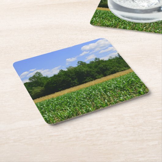 Landelijk landschap van een maïs- & tarweveld & bl kartonnen onderzetters (Schuin)