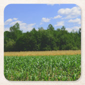 Landelijk landschap van een maïs- & tarweveld & bl kartonnen onderzetters (Voorkant)