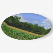 Landelijk landschap van een maïs- & tarweveld & bl papieren bordje (Gekanteld)