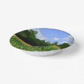 Landelijk landschap van een maïs- & tarweveld & bl papieren kommen (Gebogen)