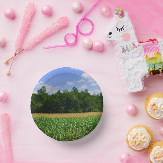 Landelijk landschap van een maïs- & tarweveld & bl papieren kommen (Feest)