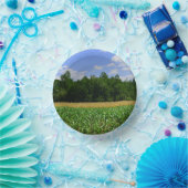 Landelijk landschap van een maïs- & tarweveld & bl papieren kommen (Feest)