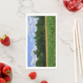 Landelijk landschap van een maïs- & tarweveld & bl servet (Insitu)