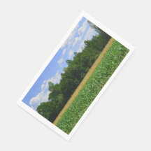 Landelijk landschap van een maïs- & tarweveld & bl