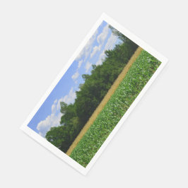 Landelijk landschap van een maïs- & tarweveld & bl servet