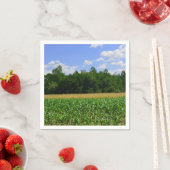 Landelijk landschap van een maïs- & tarweveld & bl servet (Insitu)