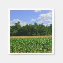 Landelijk landschap van een maïs- & tarweveld & bl