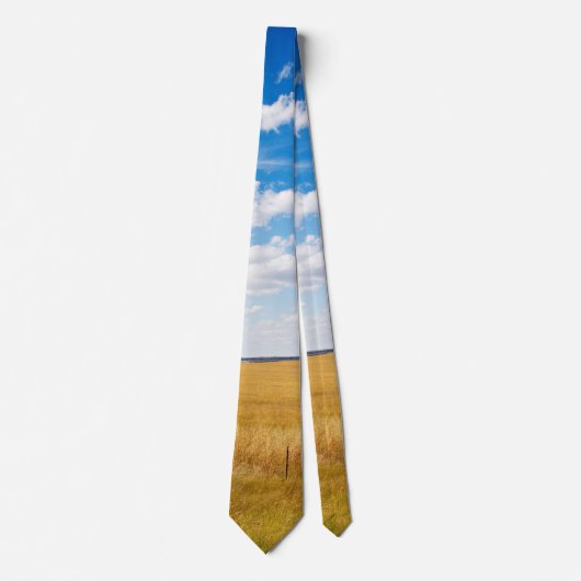 Landelijk landschap van South Dakota Stropdas (Voorkant)